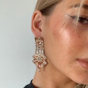 Jewel Earrings
